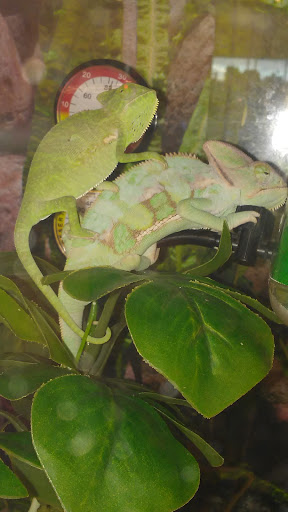 Pet Supply Store «Petco Animal Supplies», reviews and photos, 1049 S Willow St, Manchester, NH 03103, USA