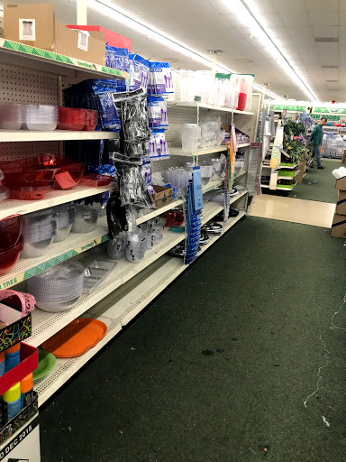 Dollar Store «Dollar Tree», reviews and photos, 11555 San Pablo Ave, El Cerrito, CA 94530, USA