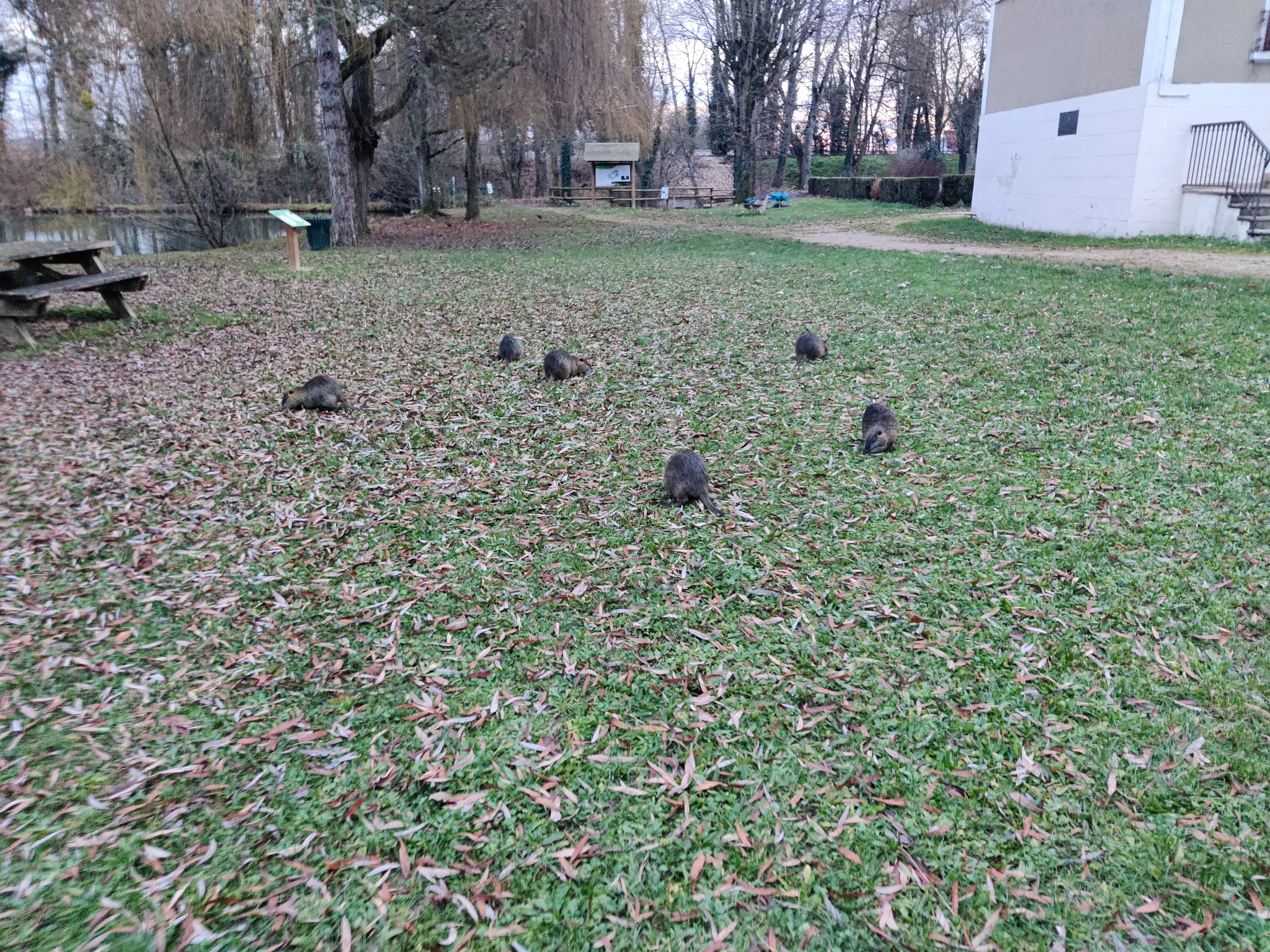 Photo n° 4 de l'avis de Elodie.O fait le 28/12/2022 à 17:17