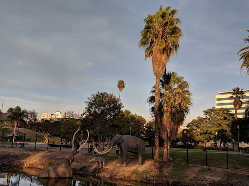 Art Museum «Los Angeles County Museum of Art», reviews and photos, 5905 Wilshire Blvd, Los Angeles, CA 90036, USA