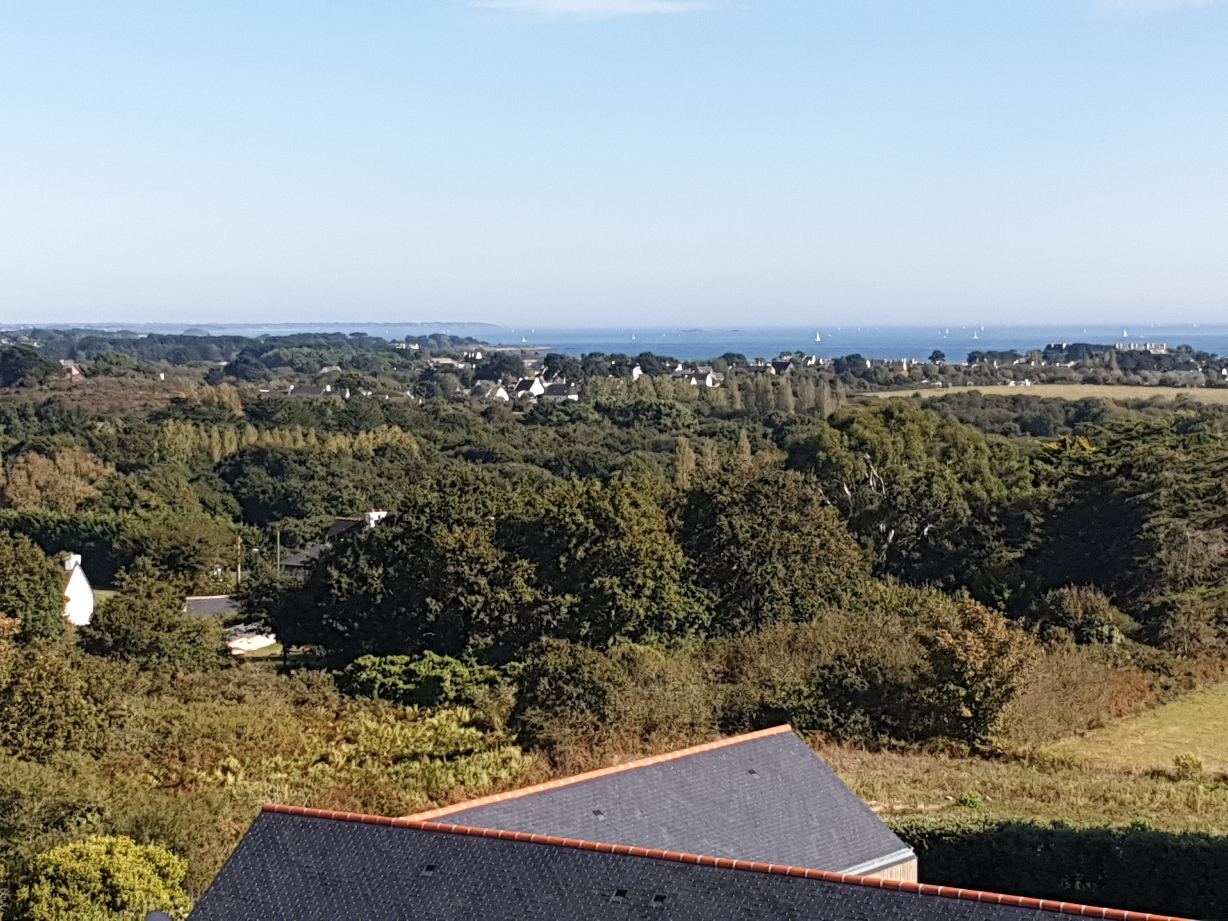 Photo n° 3 de l'avis de Gaetan.e fait le 16/09/2019 à 19:41