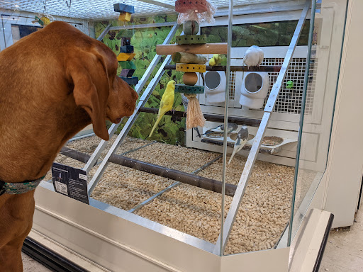 Pet Supply Store «PetSmart», reviews and photos, 3601 Rib Mountain Dr, Wausau, WI 54401, USA