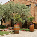 Photo n°9 de l'avis de Duilio. fait le 02/07/2021 à 18:51 sur le  Borgo Tre Rose - Country Hotel Montepulciano à Montepulciano