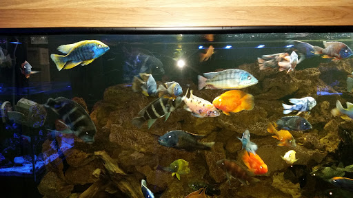 Aquarium «Aquatica», reviews and photos, 800 Clanton Rd H, Charlotte, NC 28117, USA