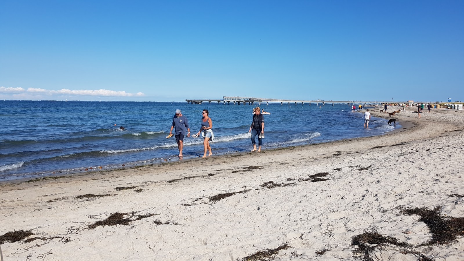 Valokuva Heiligen Hafen Strandista. mukavuudet alueella