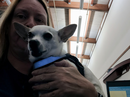 Museum «Graveyard of the Atlantic Museum», reviews and photos, 59200 Museum Dr, Hatteras, NC 27943, USA