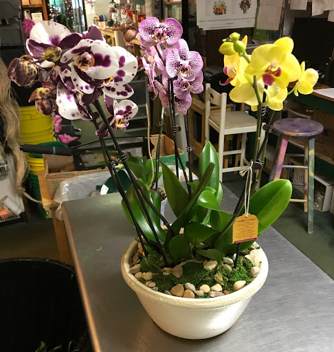 Florist «OSUFLOWERS .COM», reviews and photos, 2733 E Main St, Columbus, OH 43209, USA