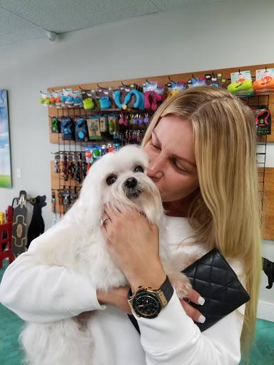  «Animal Crackers», reviews and photos, 280 NE 2nd St, Miami, FL 33132, USA