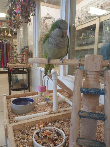 Pet Store «Fosters Exotic Pet Center», reviews and photos, 40116 US Hwy 19 N, Tarpon Springs, FL 34689, USA