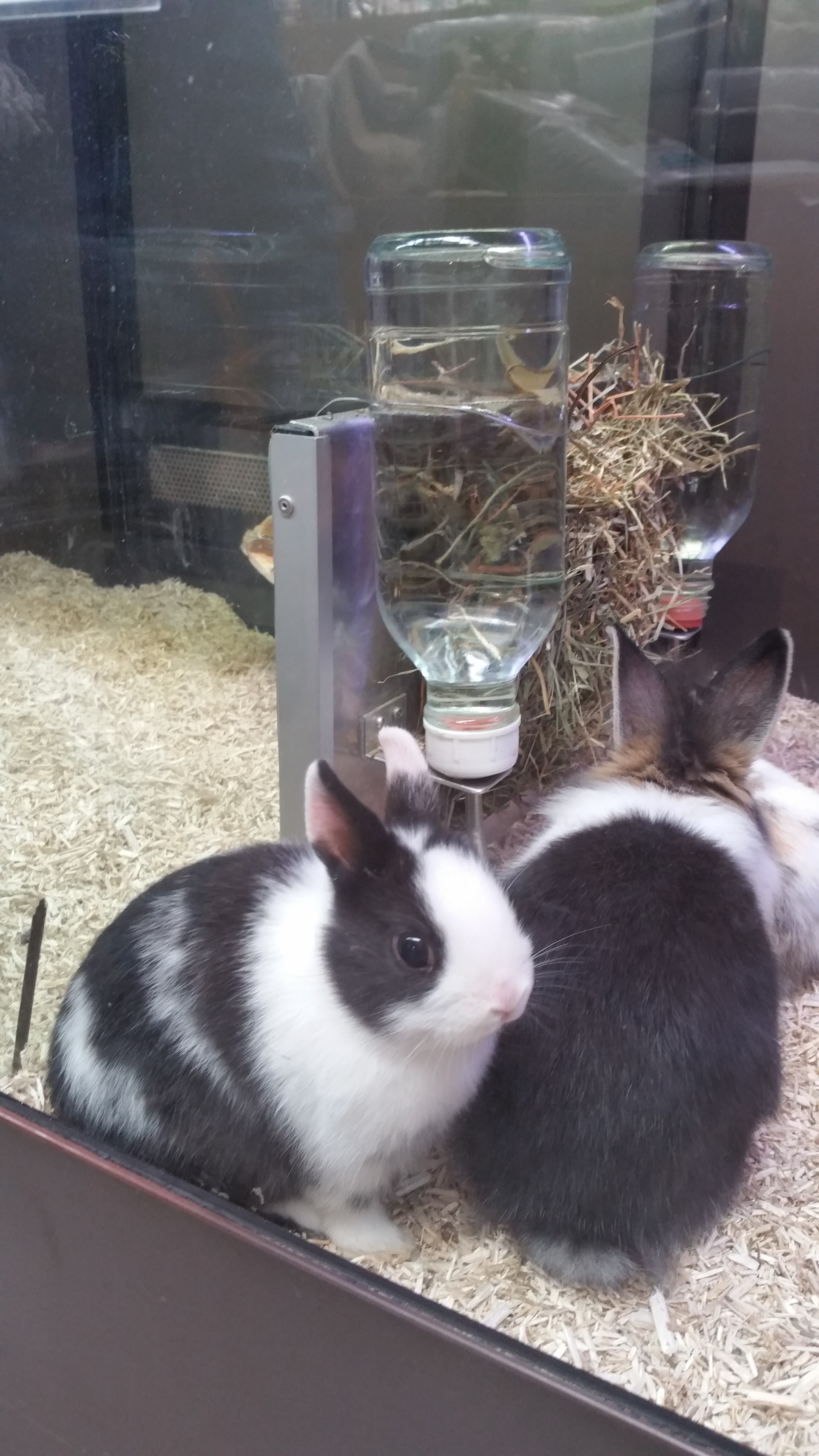 Photo n° 2 de l'avis de Jelena.n fait le 14/03/2018 à 23:08
