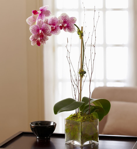 Florist «Axelrod Flowers», reviews and photos, 4429 Whitaker Ave, Philadelphia, PA 19120, USA