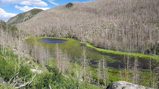 National Park «Rocky Mountain National Park», reviews and photos