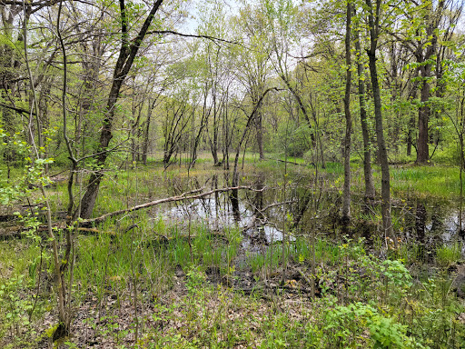 Nature Preserve «Sauk Trail Woods», reviews and photos, 3028 Forest Preserve Dr, Chicago Heights, IL 60411, USA