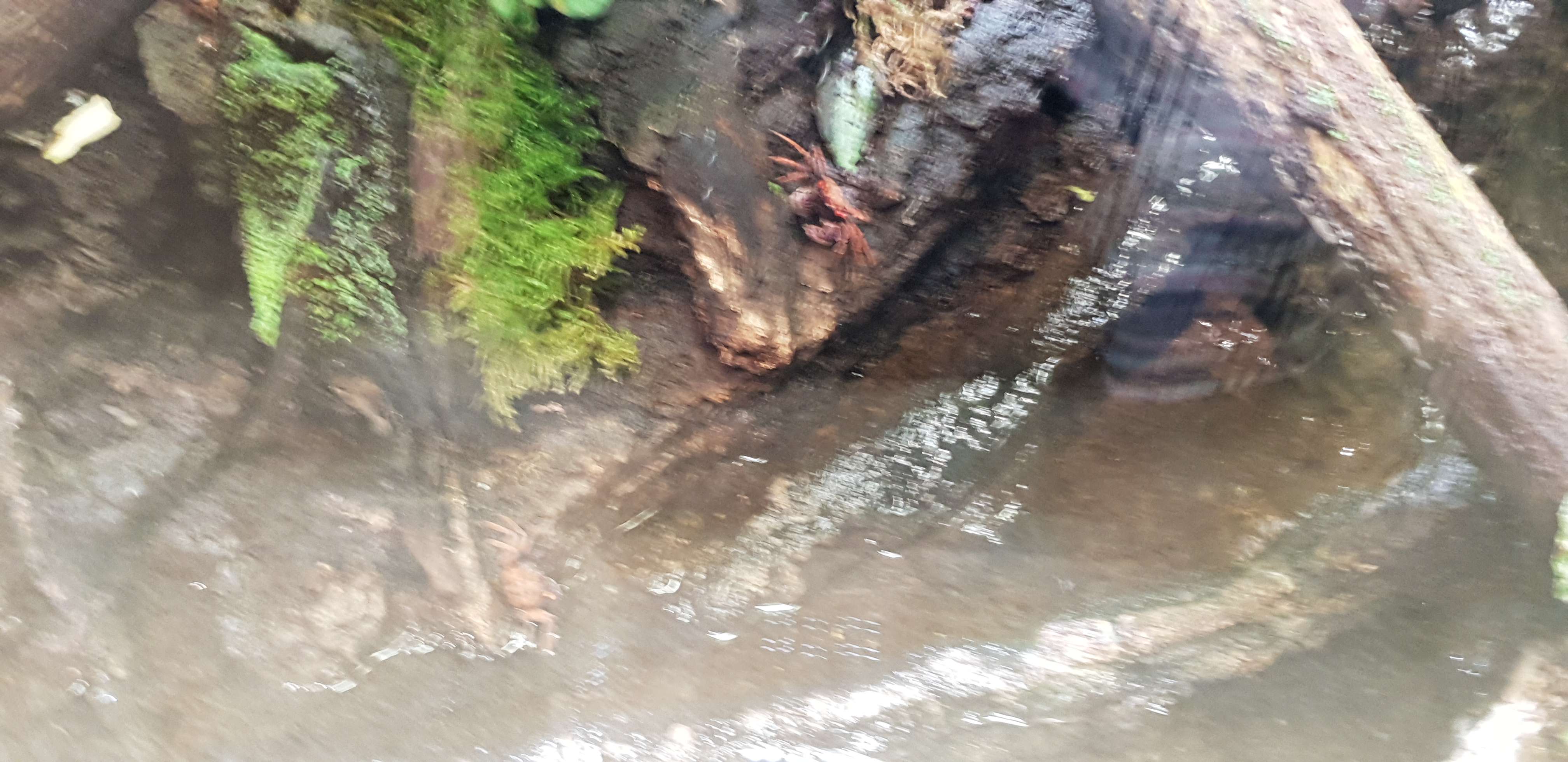 Photo n° 21 de l'avis de Dominique.A fait le 20/04/2018 à 18:56