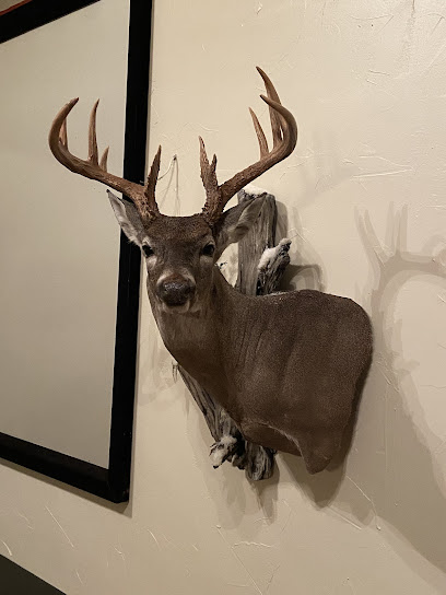 Whitetail Expressions Taxidermy / (Twisted T Taxidermy)