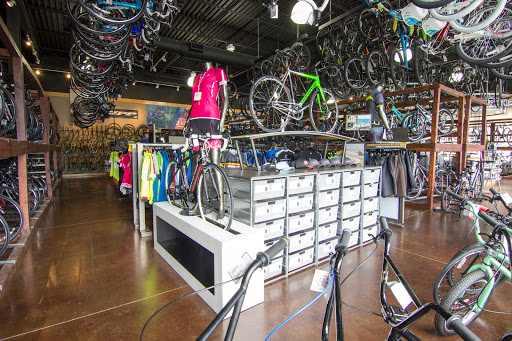 Bicycle Store «Bicycles Plus», reviews and photos, 190 E Stacy Rd #1704, Allen, TX 75002, USA