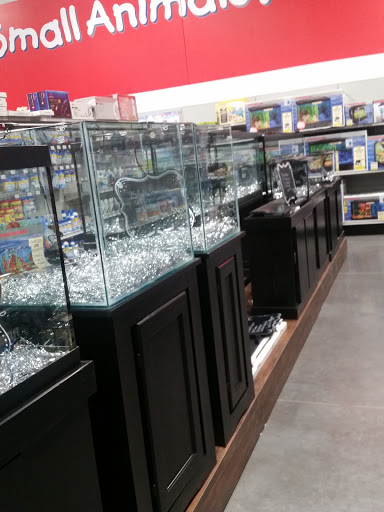 Pet Groomer «We Lov Pets», reviews and photos, 3853 Northpointe Dr, Zanesville, OH 43701, USA