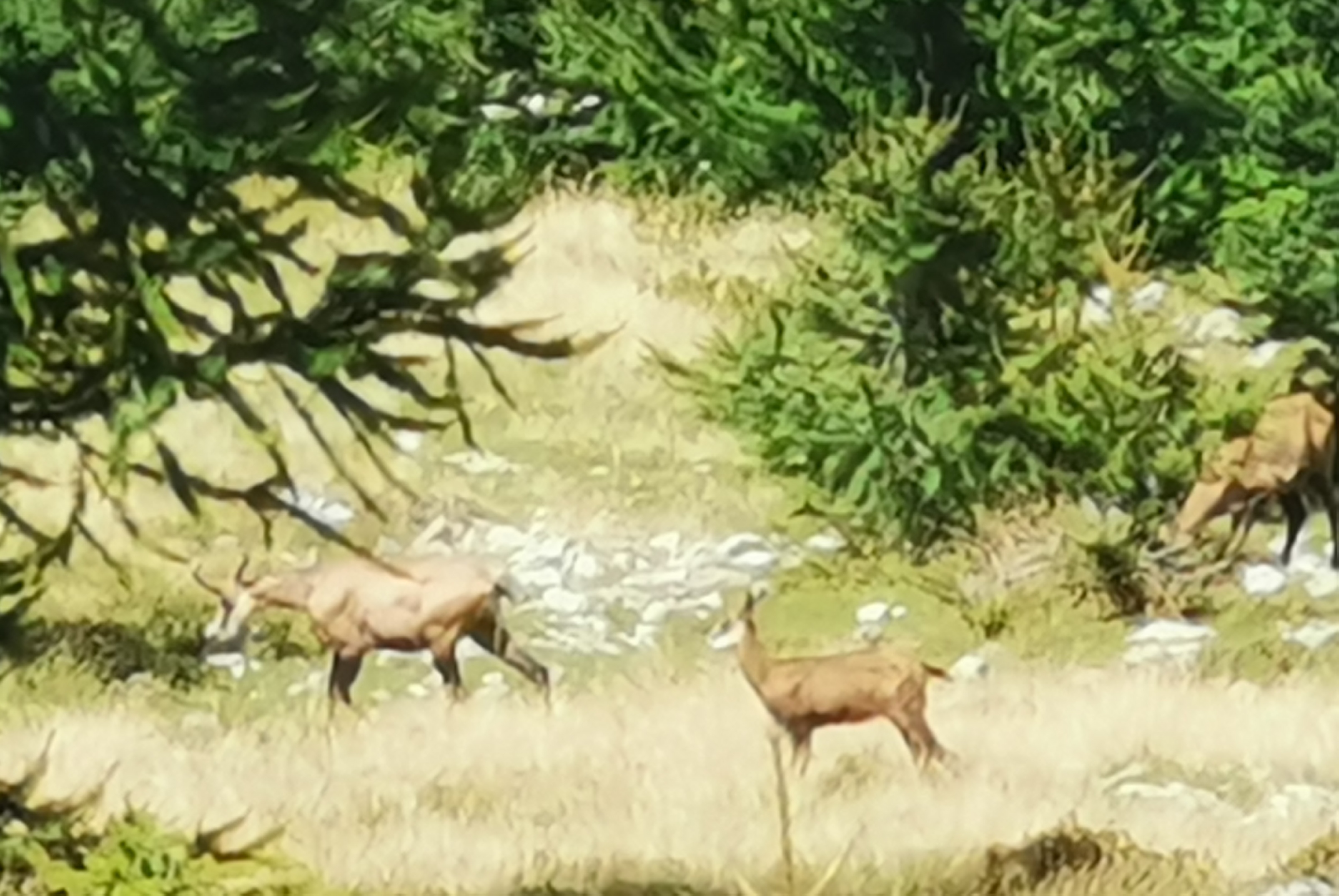 Photo n° 13 de l'avis de Jean-Luc.I fait le 21/08/2022 à 16:04