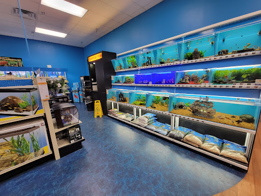 Pet Supply Store «Pet Supermarket», reviews and photos, 534 S Hunt Club Blvd, Apopka, FL 32703, USA