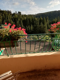 Photos des visiteurs du Restaurant Logis Hôtel des Sapins à Lanarce - n°8