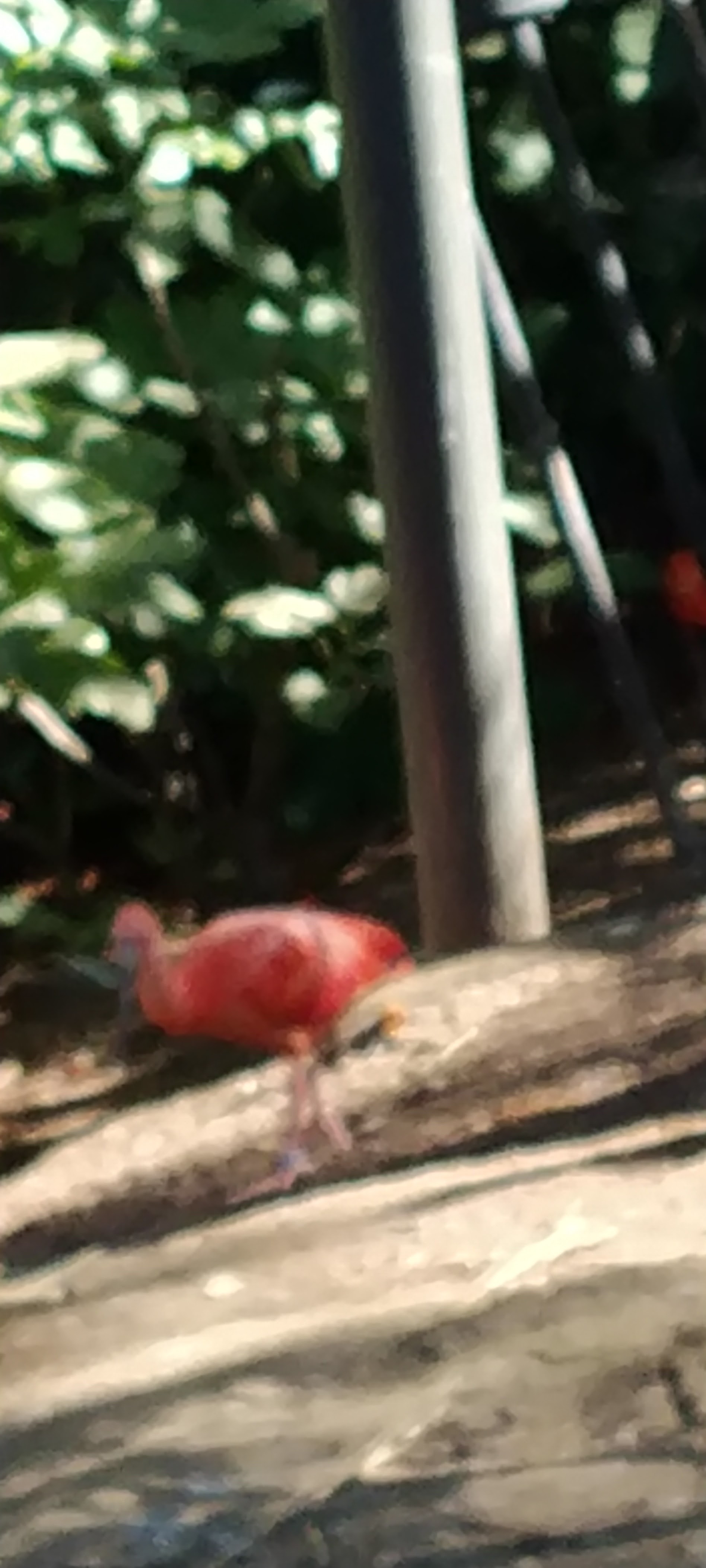 Photo n° 4 de l'avis de Bernard.e fait le 12/09/2022 à 09:16