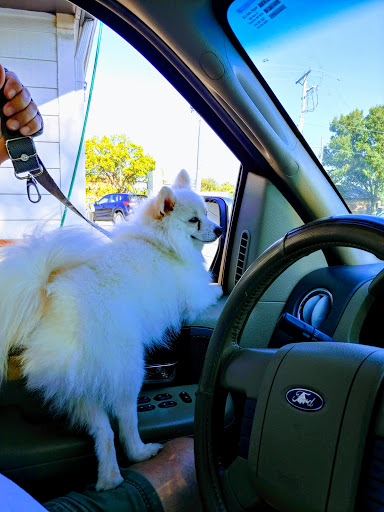 Tire Shop «Firestone Complete Auto Care», reviews and photos, 12923 S U.S. 71 Hwy, Grandview, MO 64030, USA