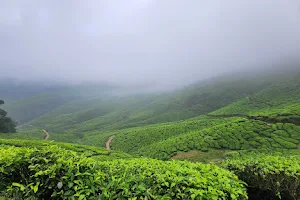 Reserve Forest, Idukki image