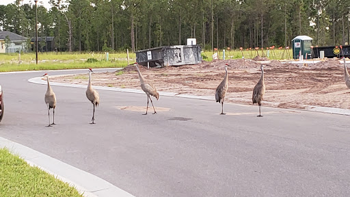 Home Builder «Twin Lakes - Jones Homes USA», reviews and photos