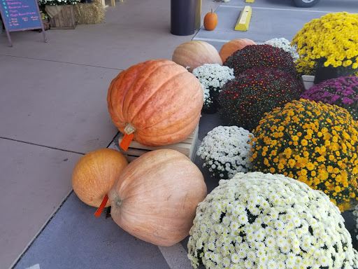 Grocery Store «Yoders Country Market», reviews and photos, 2105 S Seminole Trail, Madison, VA 22727, USA