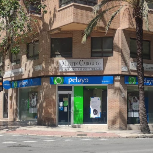 Compañías de seguros en Alicante de 2024