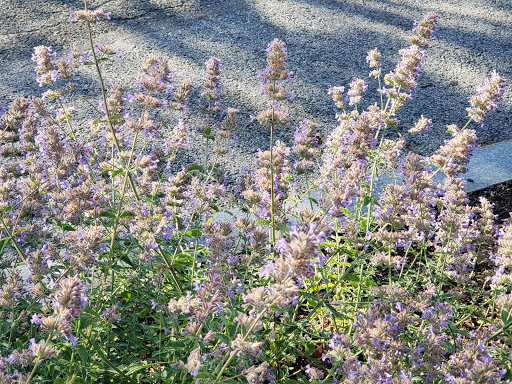 Hotel «Wylie Inn and Conference Center», reviews and photos, 295 Hale St, Beverly, MA 01915, USA