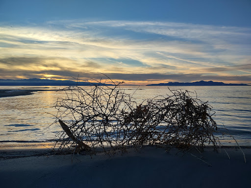 Concert Hall «The Great Saltair», reviews and photos, 12408 West Saltair Drive, Magna, UT 84044, USA