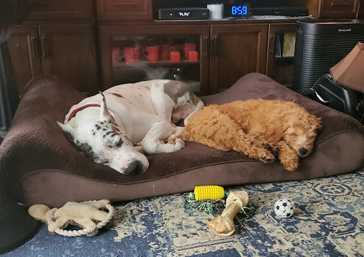 366 Warwick Rd, Middletown, DE 19709, USA