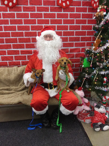 Pet Supply Store «PetSmart», reviews and photos, 5336 Westpointe Plaza Drive, Columbus, OH 43228, USA