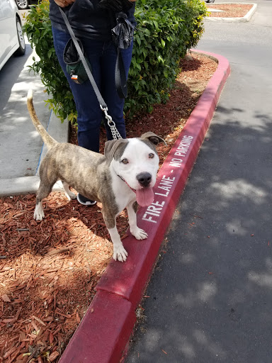 Pet Supply Store «PetSmart», reviews and photos, 2100 McHenry Ave, Modesto, CA 95350, USA