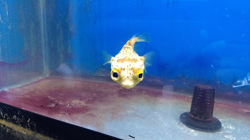 Shopping Mall «Chester Shopping Mall», reviews and photos, 23 W Main St, Chester, NJ 07930, USA