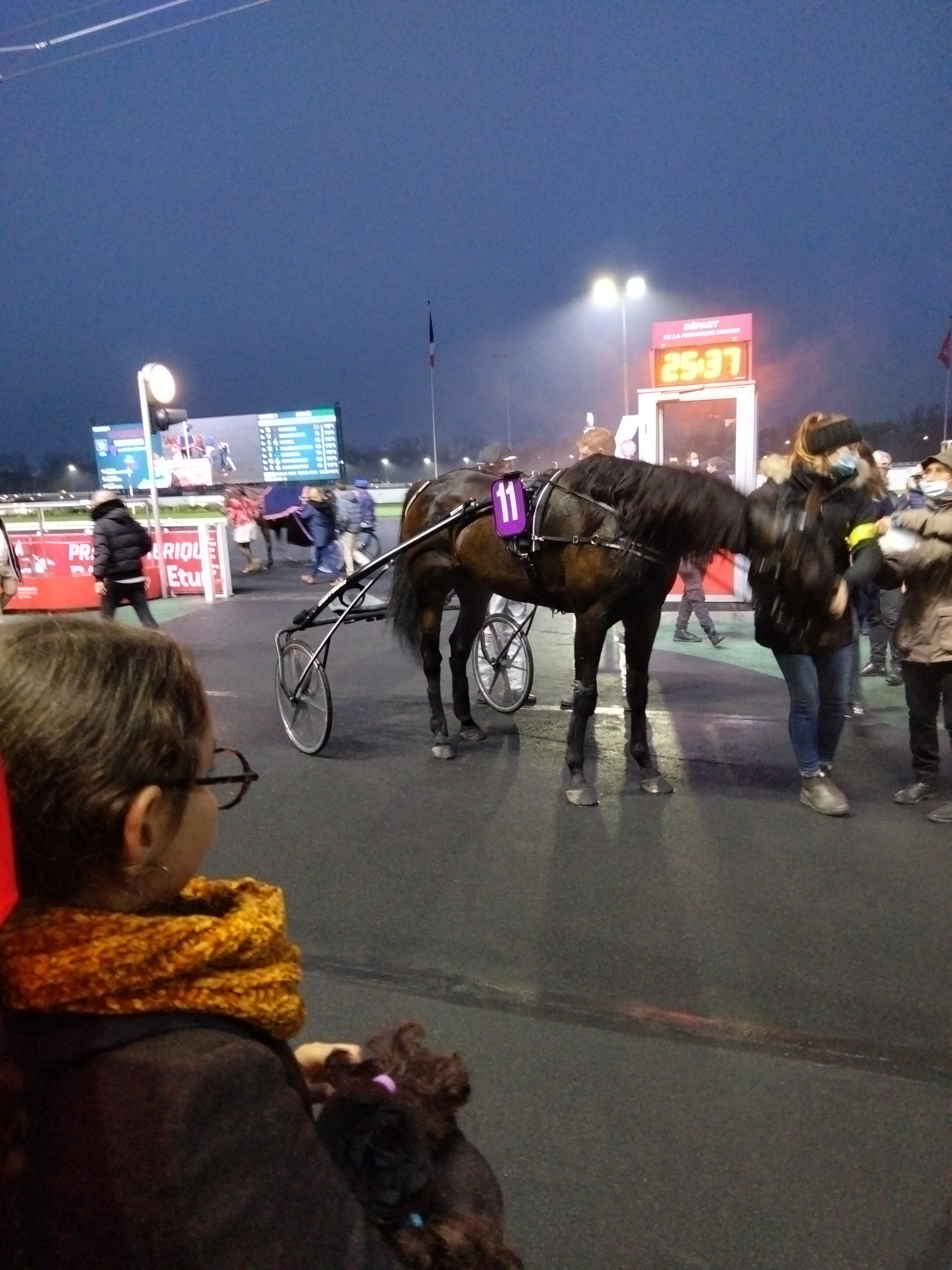 Photo n° 10 de l'avis de Rabeb.h fait le 16/12/2021 à 16:50