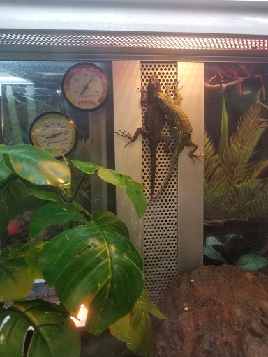 Pet Supply Store «Petco Animal Supplies», reviews and photos, 3380 124th Ave NW, Coon Rapids, MN 55433, USA