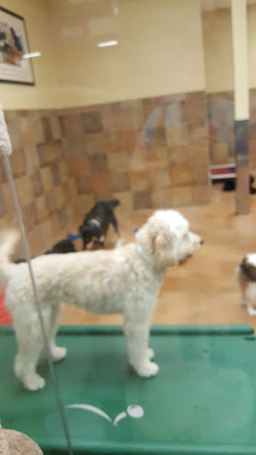 Pet Supply Store «PetSmart», reviews and photos, 5722 Fairmont Pkwy, Pasadena, TX 77505, USA