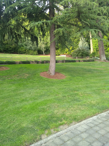 Park «Chism Beach Park», reviews and photos, 9600 SE 11th St, Bellevue, WA 98004, USA