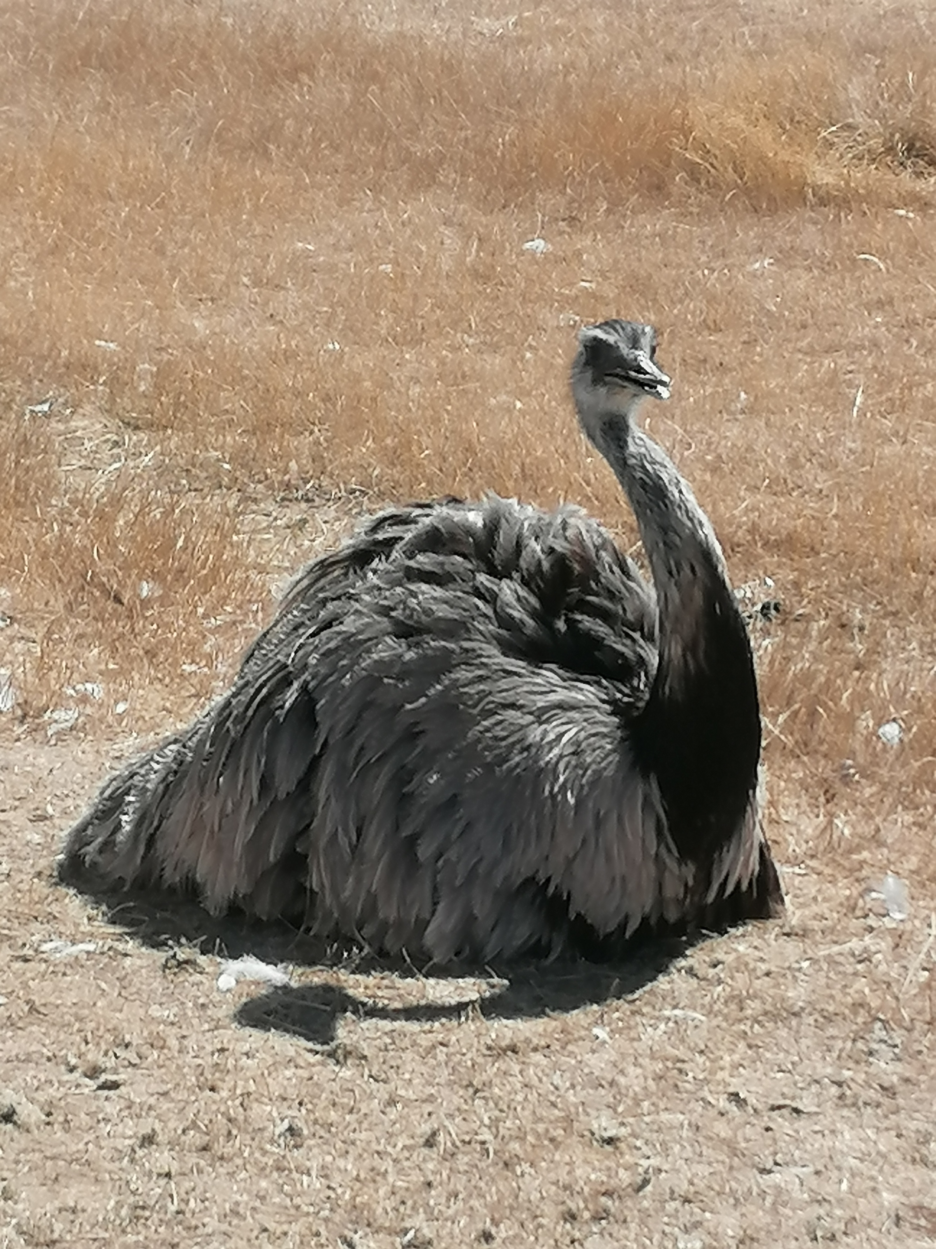 Photo n° 4 de l'avis de BASTI1.H fait le 03/08/2022 à 13:23