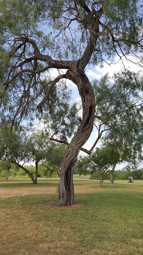 Golf Course «Harlingen Municipal Golf Course», reviews and photos, 2640 Golf Course Dr, Harlingen, TX 78550, USA