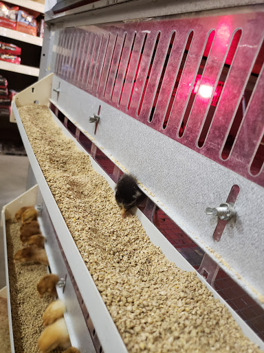 Farm Equipment Supplier «Columbia Farm Supply», reviews and photos, 170 Bear Creek Pike, Columbia, TN 38401, USA