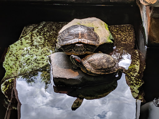 Pet Store «Pet Advantage», reviews and photos, 350 Dorset St # 1, South Burlington, VT 05403, USA