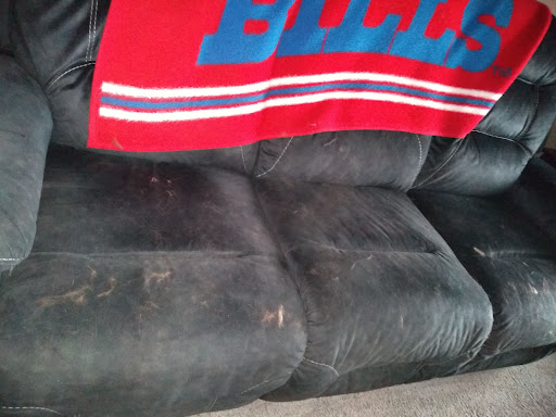 Pet Supply Store «PetSmart», reviews and photos, 2101 Elmwood Ave, Buffalo, NY 14207, USA