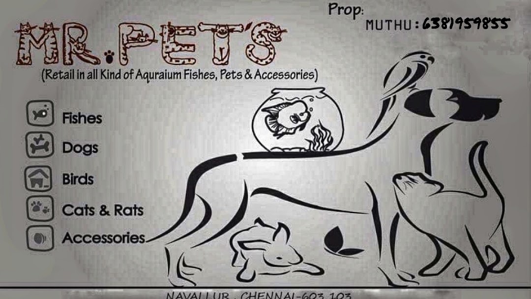 Mr. Pets