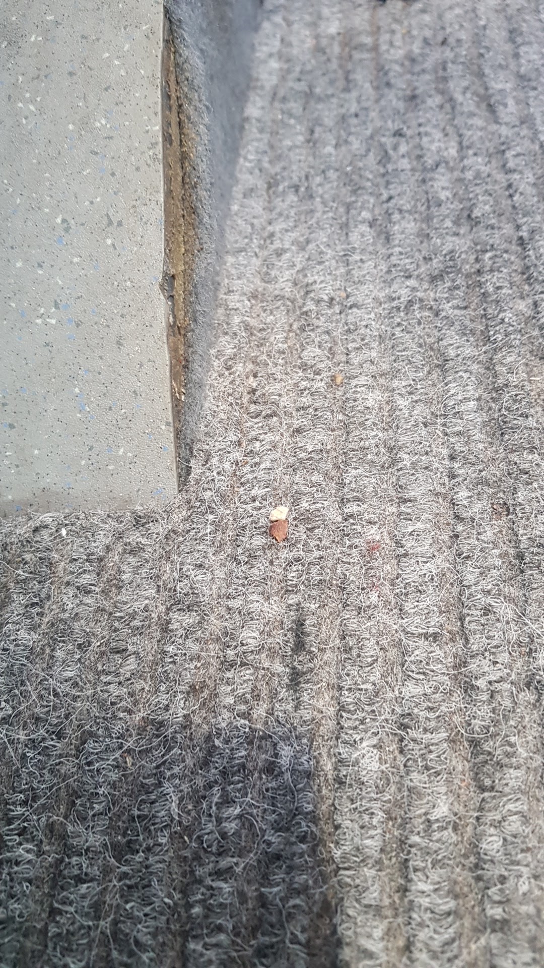 Photo n° 1 de l'avis de Sergio.a fait le 15/06/2019 à 12:20