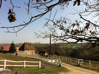 Domaine et Poney club du bel amour à Rai