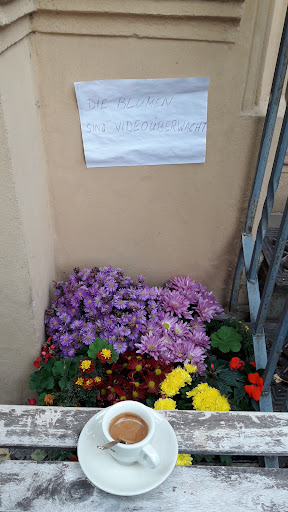 Küçük Resim 1