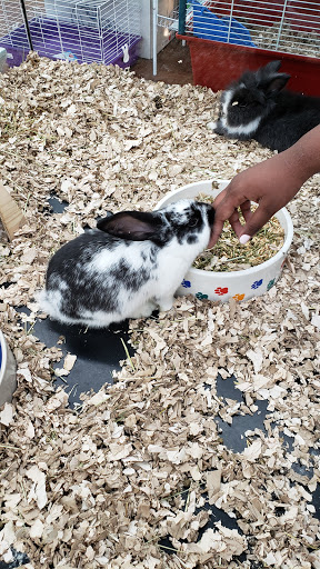 Pet Store «Pets Plus - Quakertown», reviews and photos, 117 S West End Blvd, Quakertown, PA 18951, USA